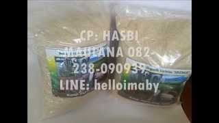 Download Lagu MAKNYUSNYA Beras Organik PULEN WANGI | Hasbi Maulana 082-238-090939 Cirebon MP3