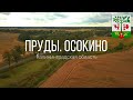 4K. Пруды. Осокино. Гурьевский район. Калининградская область