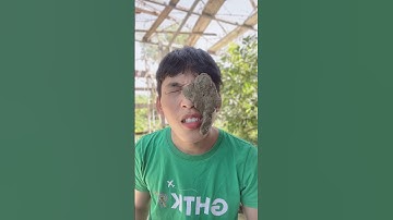 Xin lỗi cục cứt 💩 p2 #shorts