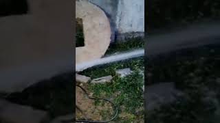 1hp 10 Stage Lubi Pump