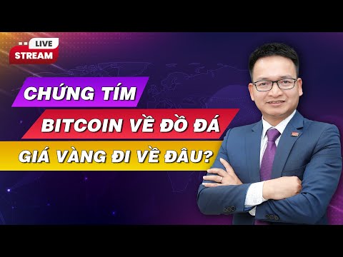 Video ???? LIVE: Giá Vàng đi về đâu | Chứng khoán - Chứng tím... - youtube