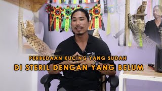 Download lagu PERBEDAAN KUCING YANG SUDAH DI STERIL DENGAN YANG BELUM