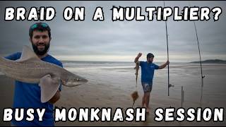 Non stop action at Monknash while testing braid on a multiplier,  Beach fishing South Wales
