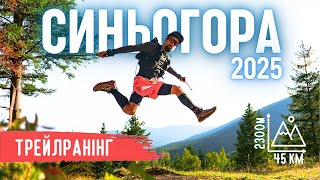картинка: Найкращий гірський марафон 44км в Ґорґанах! | Синьогора Трейл 2025