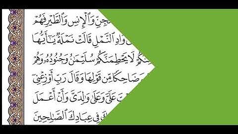 الجزء التاسع عشر الربع السابع سورة النمل من الآية 1 حتى الآية 26