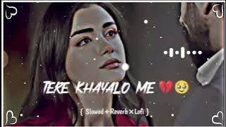 Tere Khayalo Me Teri Hi Yaadon Mein Duba Hu Mai Janeman 😭/Lofi Song/Broken Heart 💔 Sad Song / #lofi