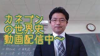 カネゴンの世界史B 三十年戦争