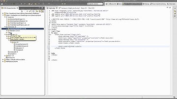 SVN Tutorial 2