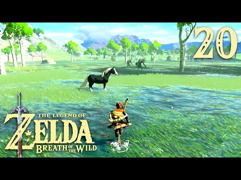 Видео: Мокрые земли ※ The Legend of Zelda: Breath of the Wild #20