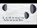 Leibniz's Monads Explained