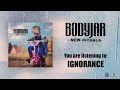 Miniature de la vidéo de la chanson Ignorance