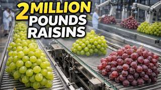 How 2 Million Pounds of Raisins Are Made | Inside a Modern Factory