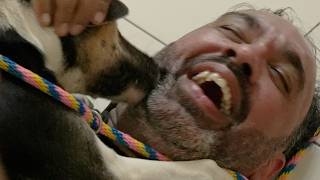 Saved from slaughter: puppy's heartwarming response!