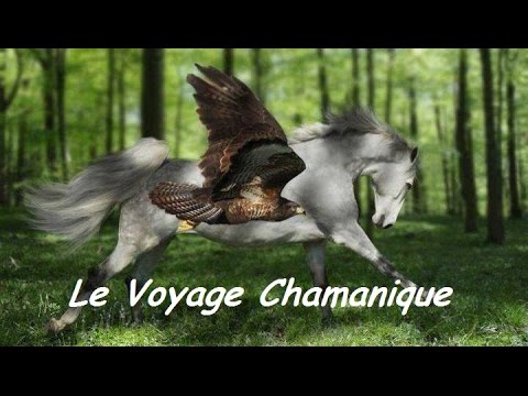 Le Voyage Chamanique