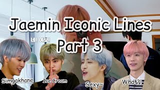 Na Jaemin 나재민 NCT Funny Iconic Lines Part 3