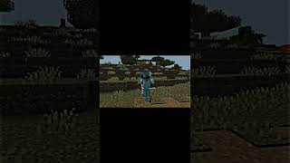 Pov:- Flamefrags on levels☠️| Levels SMP