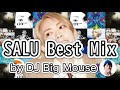 SALU Best Mix【Best Mix】【#作業用 / #BGM】#SALU #DJ #DJMix