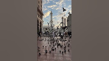 سورة الأنعام {الآية 32} بصوت الشيخ محمد اللحيدان ❤️❤️