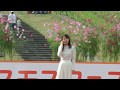 コスモスフェスタ2017 コスモスコンサート May.J 「ハナミズキ」」