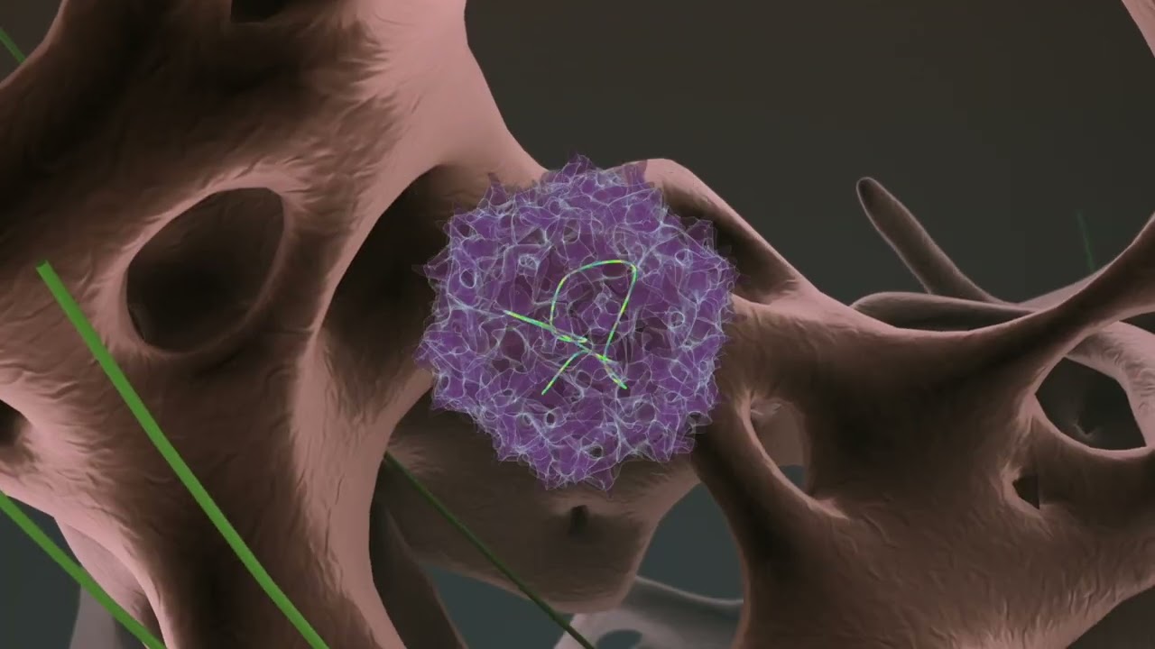 Qu'est-ce que la thérapie génique ?