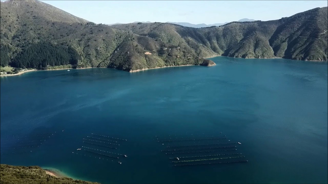 Drone footage of Tui Nature Reserve - Marlborough Sounds