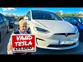 Din Păcate Trebuie Să Îmi Vând Tesla