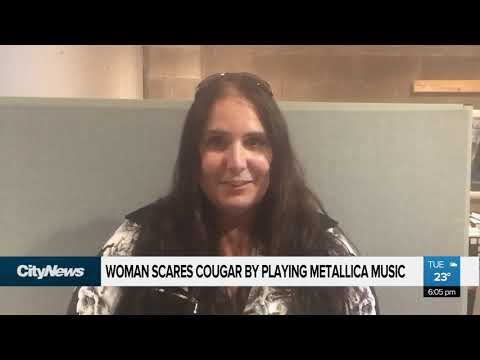 Woman fends off cougar with heavy metal music