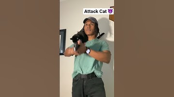 Tacticool Cat helps me Train Appendix Carry Draws 🐈‍⬛