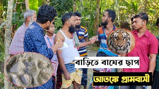 বনের বাঘ লোকালয়ে আতঙ্কে গ্রামবাসী Villagers in fear of forest tigers