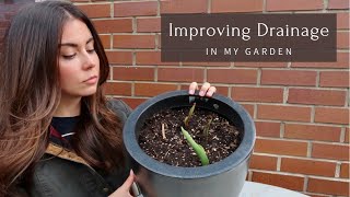 I Lost More Plants to the Rain | How I'm Improving Drainage in My Container Garden