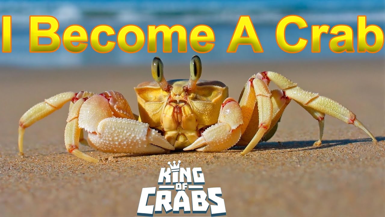 I A BIG Crab😲 King Of Crabs [Hindi Gameplay] YouTube