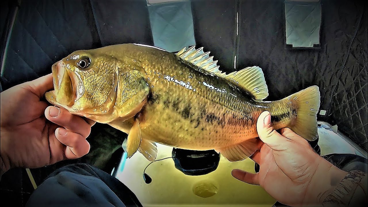 ICE FISHING With MINNOWS and WAX WORMS