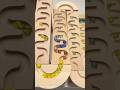 #marblerun #marbleasmr #marble #marblerace #ビー玉転がし #woodentoys #ピタゴラスイッチ #relaxing