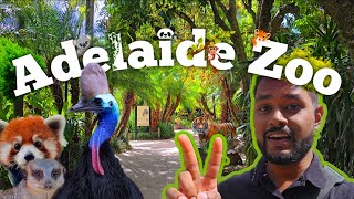 Adelaide Zoo Tour 2026🌴🐼💕  | Adelaide Zoo 🇦🇺 | Zoo ● | Srilankan in Adelaide 