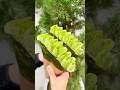 パリパリの抹茶生地で作る抹茶ティラミスクレープ🍵#東京グルメ#東京カフェ#shorts