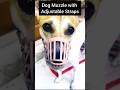 Dog Muzzle with Adjustable Straps 🐶 | Best Dog Training & Safety Gear 2025 | #shorts #dogproducts