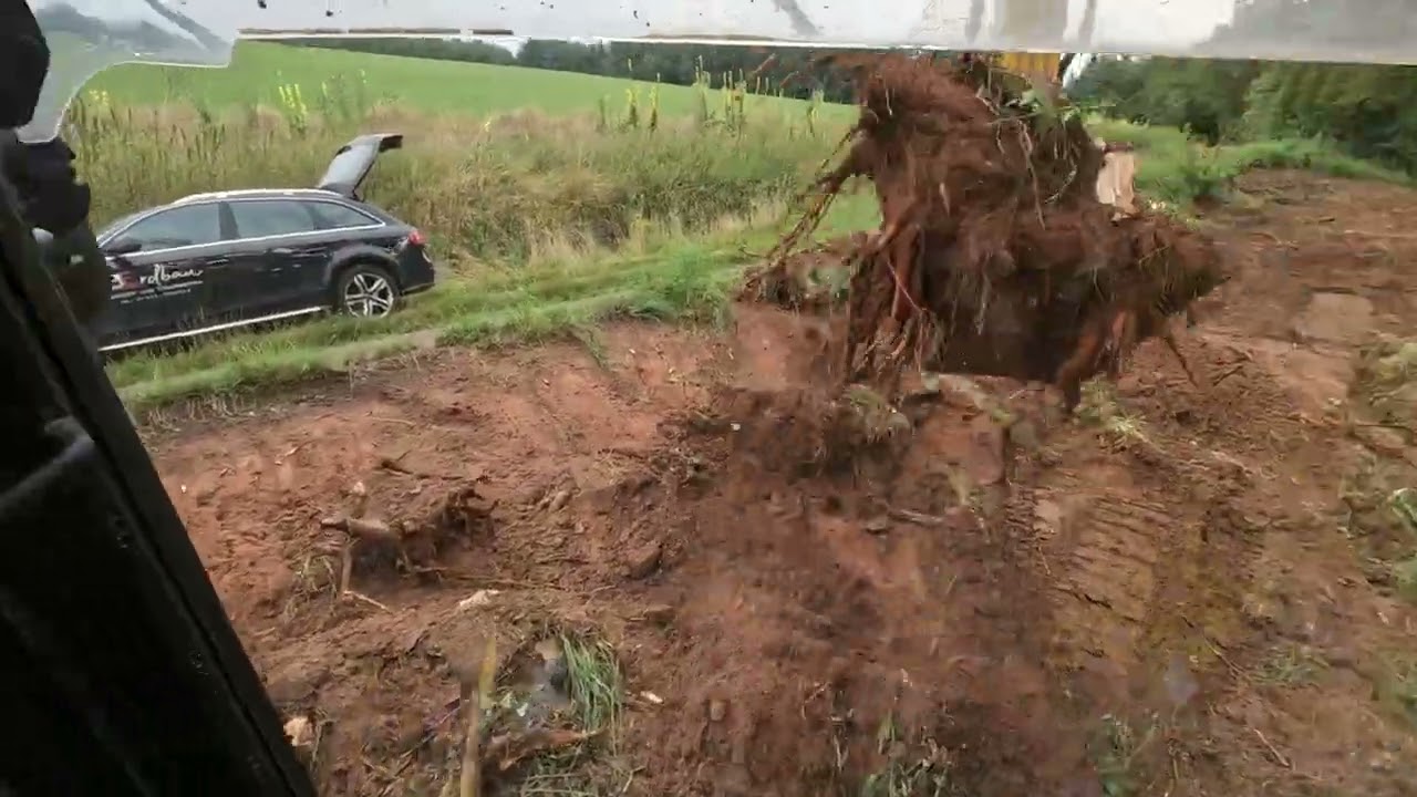 Wir reißen Bäume aus! | Roden mit dem Komatsu PC228 | Baustellentagebuch