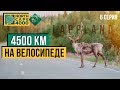 ЧЕРЕЗ ВСЮ ШВЕЦИЮ НА ВЕЛОСИПЕДЕ - [NorthCape 4000]