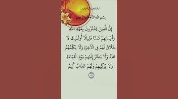 استمع وأقرأ القرآن لتفوز بالحسنات 📖🌿آيات من سورة آل عمران القارئ: فارس عباد #قرآن #كريم #duet