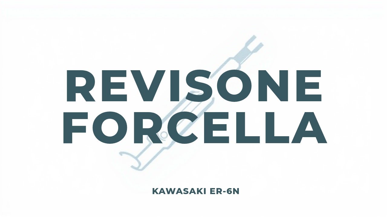 Kawasaki er-6n revisione forcelle (rebuilt fork)