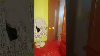 13 de agosto de 2025