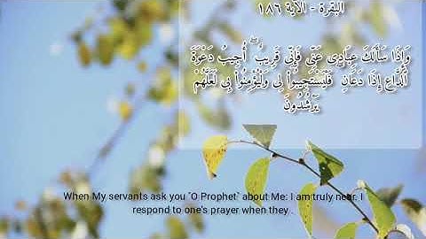 { وَإِذَا سَأَلَكَ عِبَادِي عَنِّي فَإِنِّي قَرِيبٌ ۖ  }[ سورة البقرة : 186 ]