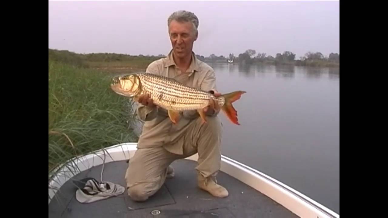 John Langridge catching tigerfish