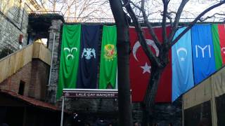 İstanbul Süleymaniye   Lale Çay Bahçesi 2 (Süleymaniye Tulip Tea Garden)