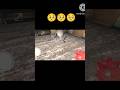 Granny ka👻 Bhoot 2 funny video 😍🥰😘game #gaming #funny