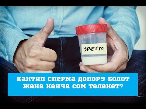 Video: Кантип жана кайда тонерди толтурса болот