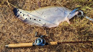 Featherback / Belida lure fishing @ Sunny day (28/2/2021)