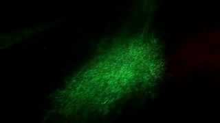 NEBULA 3 Renk Bulut Lazer