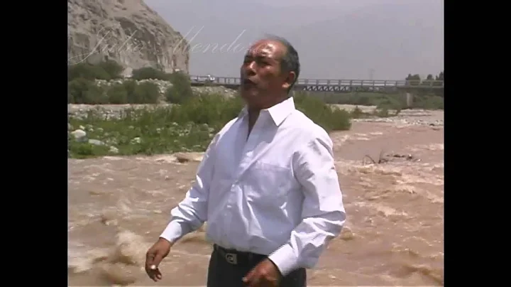 Mis Ojos   Julio Mendoza