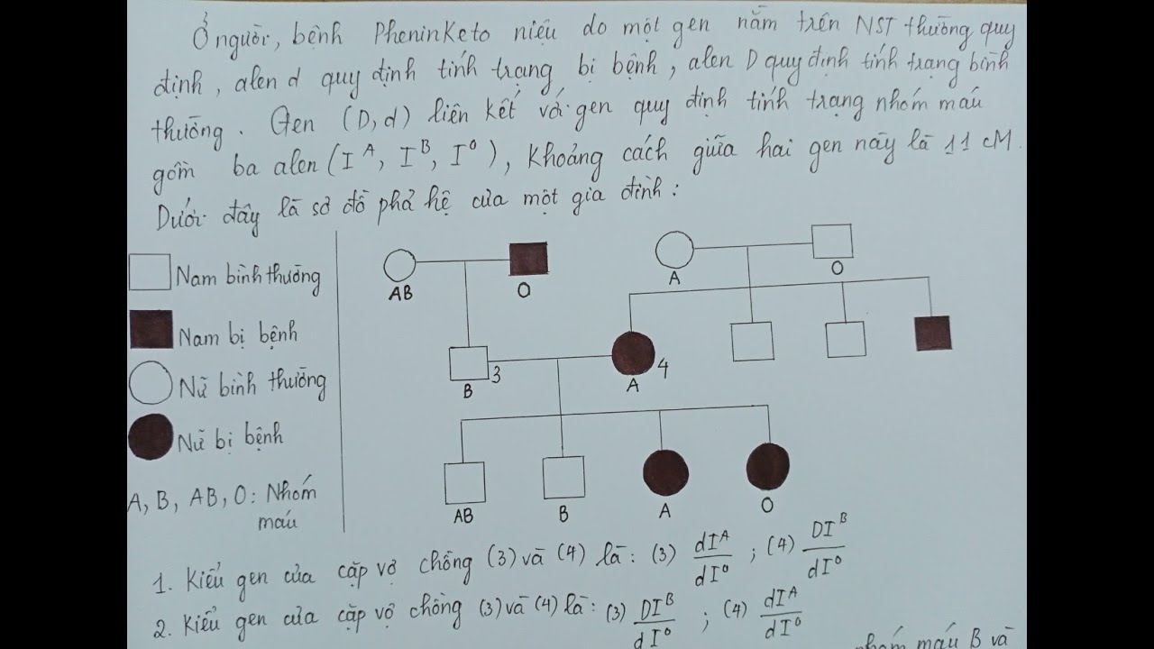 Bài tập phả hệ 2 gen liên kết có hoán vị gen - Ôn thi thpt môn Sinh học